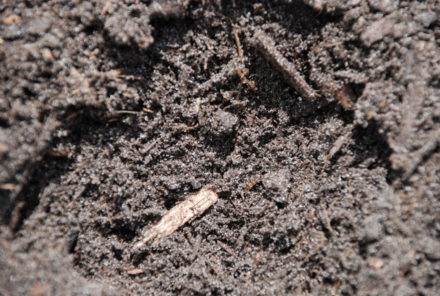 Topsoil delivery Tampa