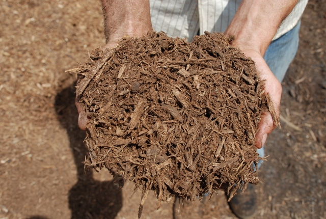 tampa-mulch-supply